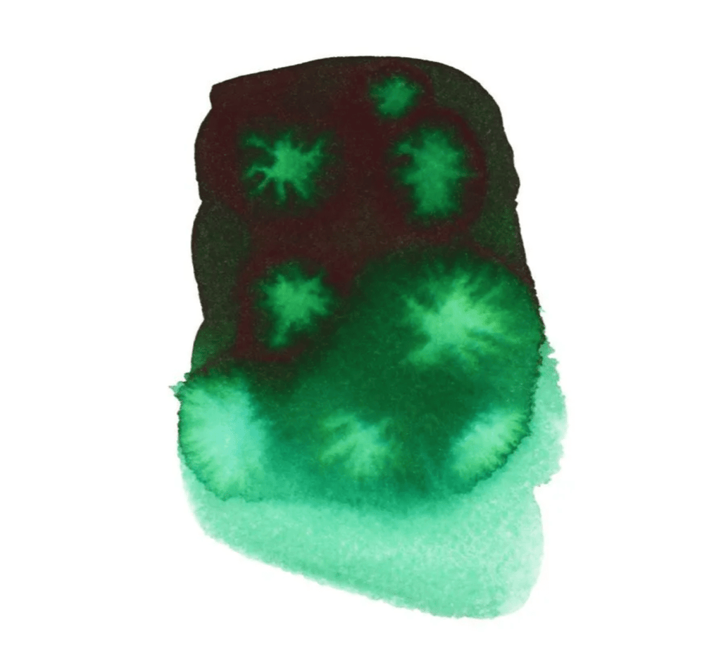 Chromatographic Ink for drawing and calligraphy // Dryad, 15 ml // by Malevich - Artish