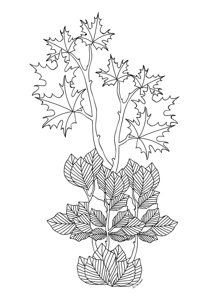 Coloring Book // Flora, A4, 20 sheets // by Sonnet - Artish