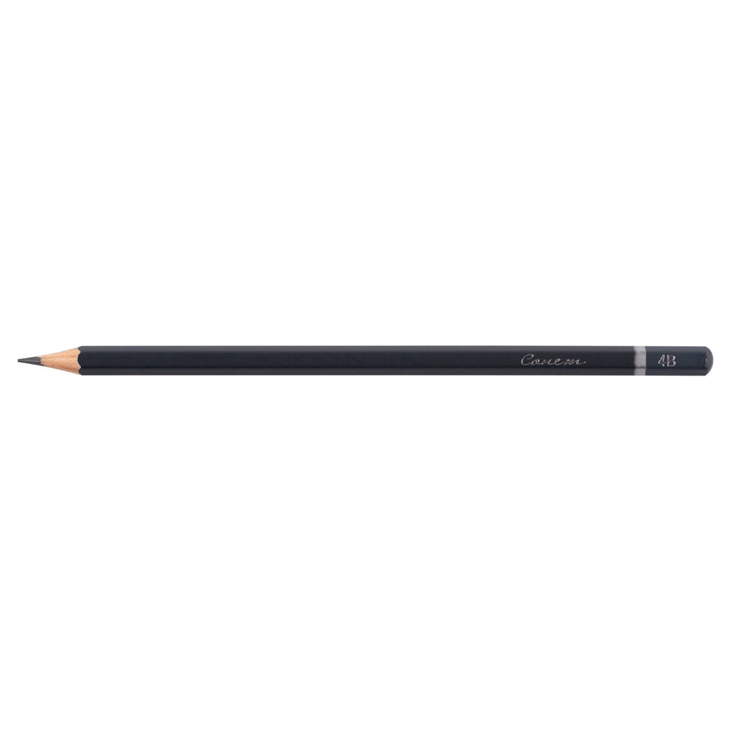 Graphite drawing pencils set // 12 pcs, 2H-8B // by Sonnet - Artish