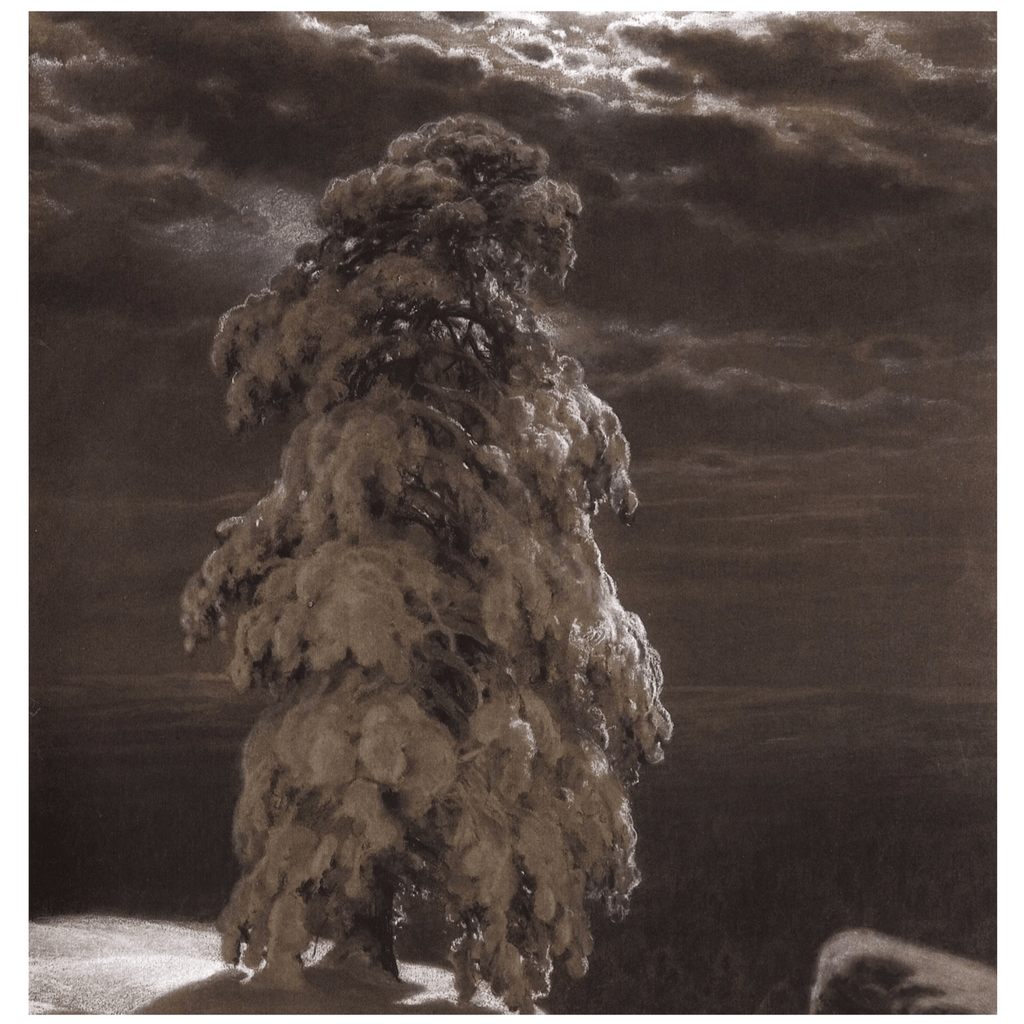 Tinted charcoal (sauce) sets of 5 - Artish